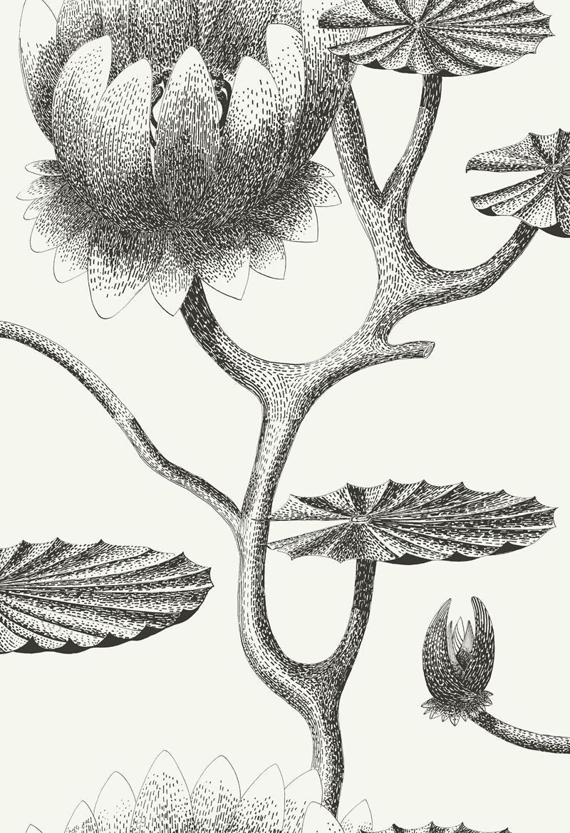 Cole & Son Wallpaper 95/4020.CS Lily Black/White