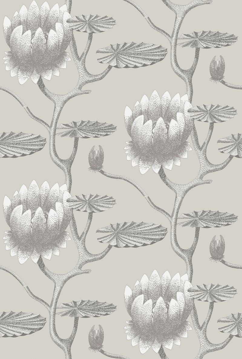 Cole & Son Wallpaper 95/4025.CS Summer Lily Taupe/White