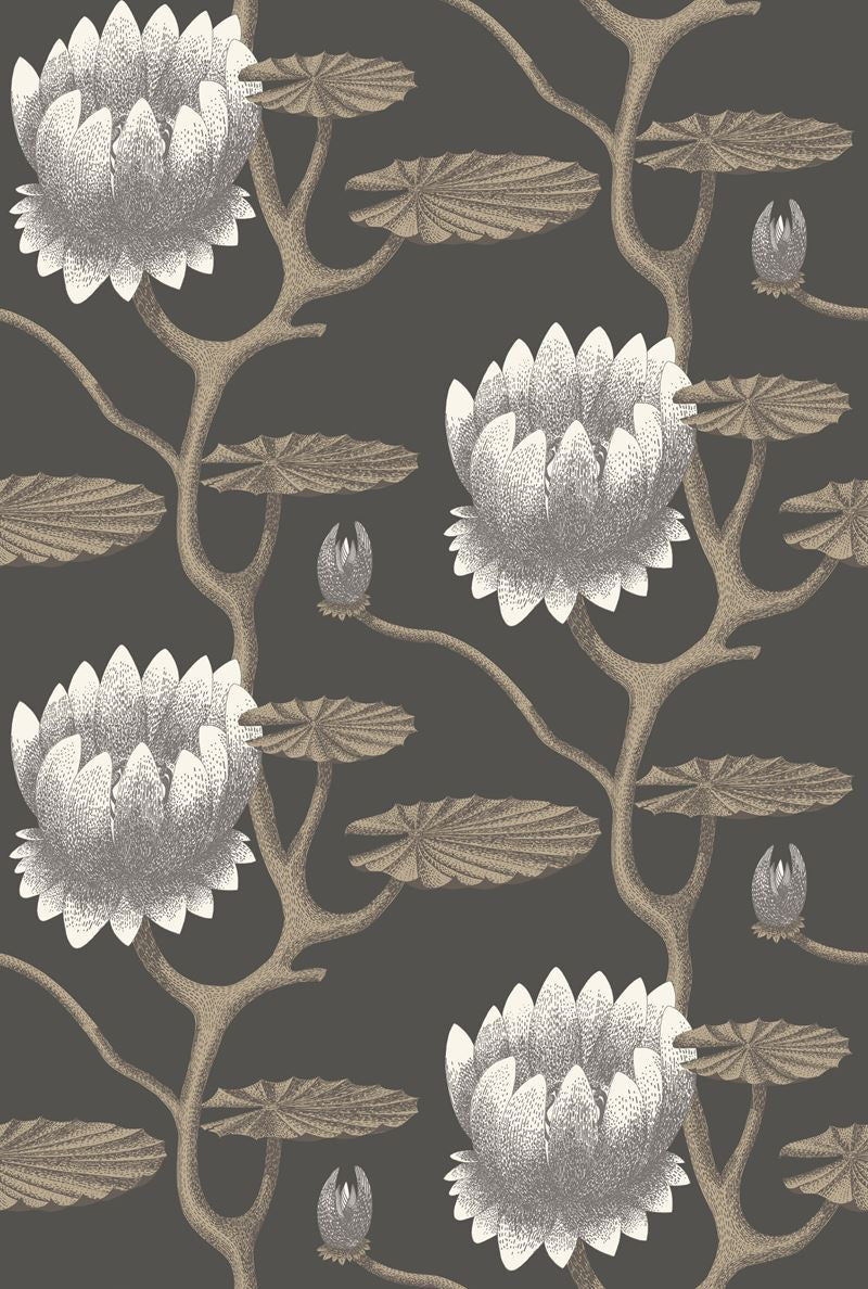 Cole & Son Wallpaper 95/4026.CS Summer Lily Blk/Wht/Gold