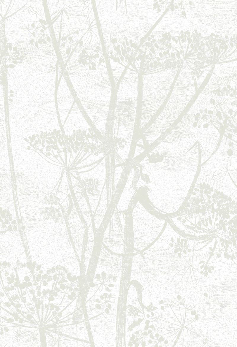 Cole & Son Wallpaper 95/9052.CS Cow Parsley White