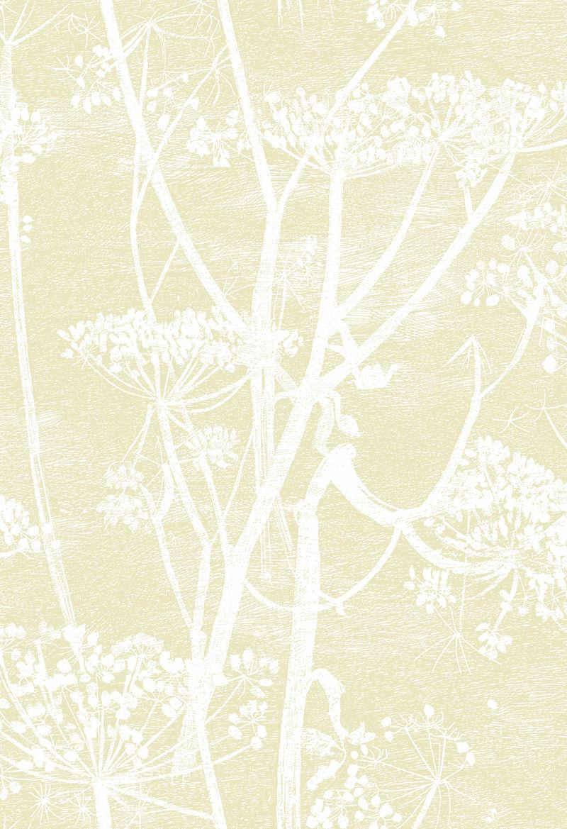 Cole & Son Wallpaper 95/9053.CS Cow Parsley Straw/White