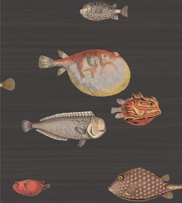 Cole & Son Wallpaper 97/10048.CS Acquario Black & Mult