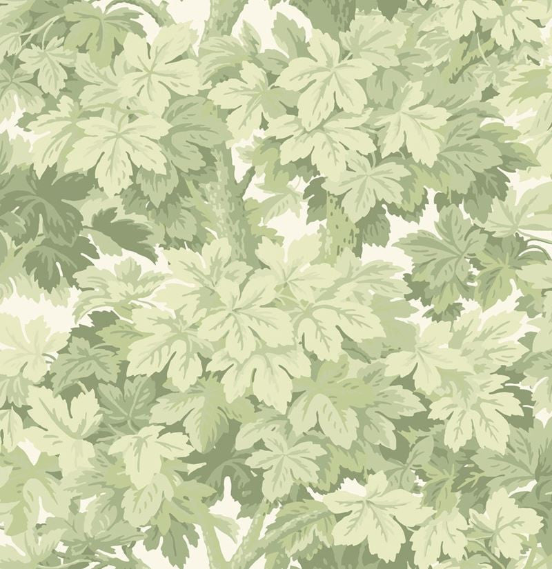 Cole & Son Wallpaper 98/10046.CS Great Vine Olive