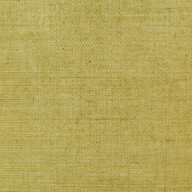 Clarence House Wallpaper 6863-12 Sisal Celery NC07