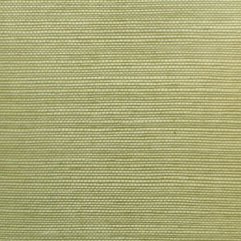Clarence House Wallpaper 6863-29 Sisal Seafoam NC12