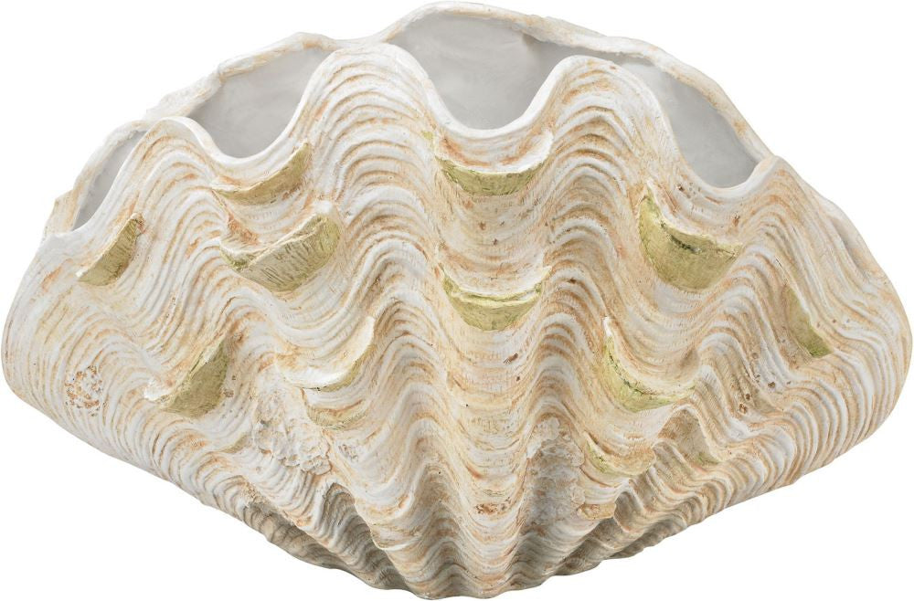 Cretaceous Shell Bowl