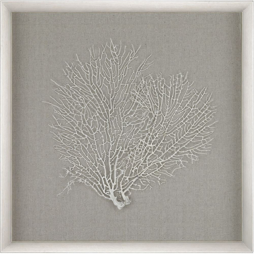 Sea Fan Wall Décor