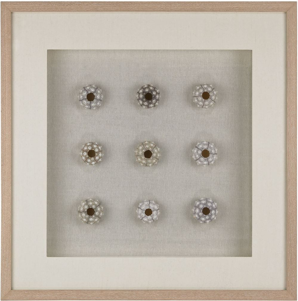 Sea Urchin Wall Décor