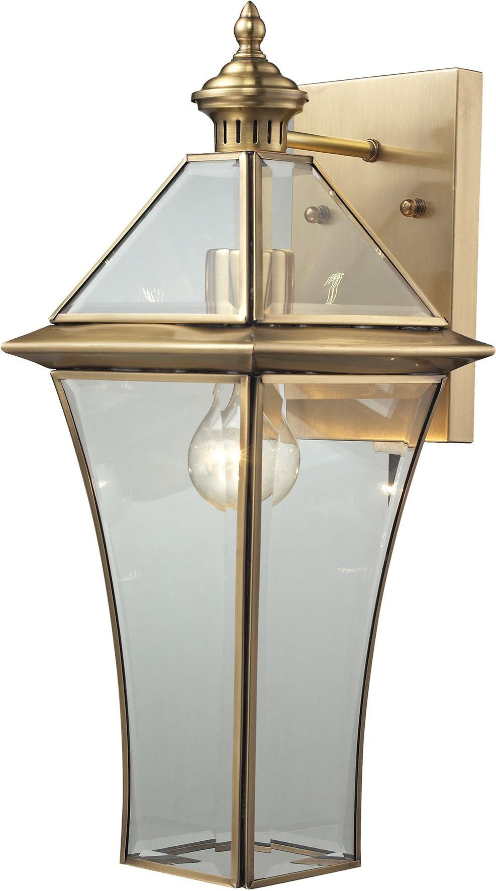 Riverdale 1 Light Outdoor Sconce In Brushed Brass