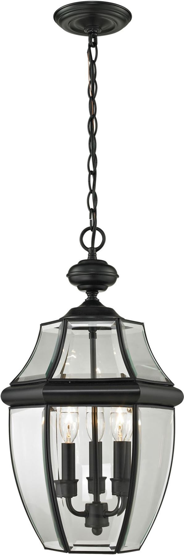 Ashford 3 Light Exterior Hanging Lantern In Black