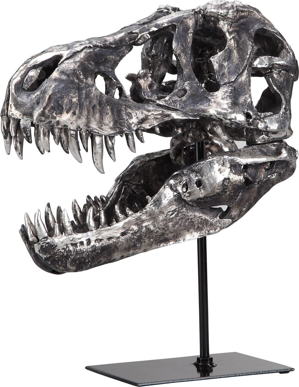 Dinosaur Head On Stand