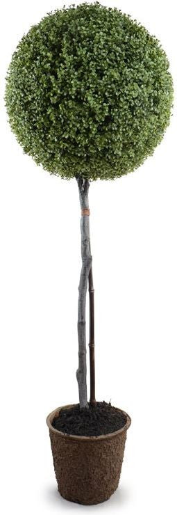 UV Stable Single Boxwood Topiary