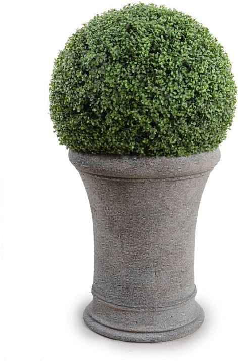 22" Boxwood Ball In Classic Drum Pot