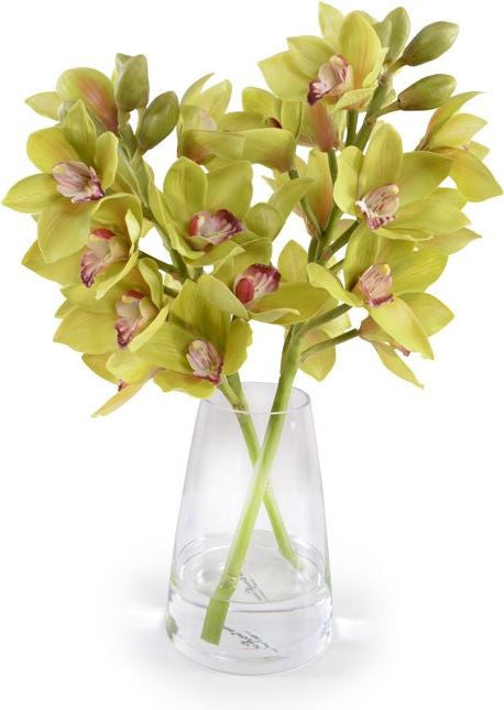 Cymbidium Orchid Arrangement