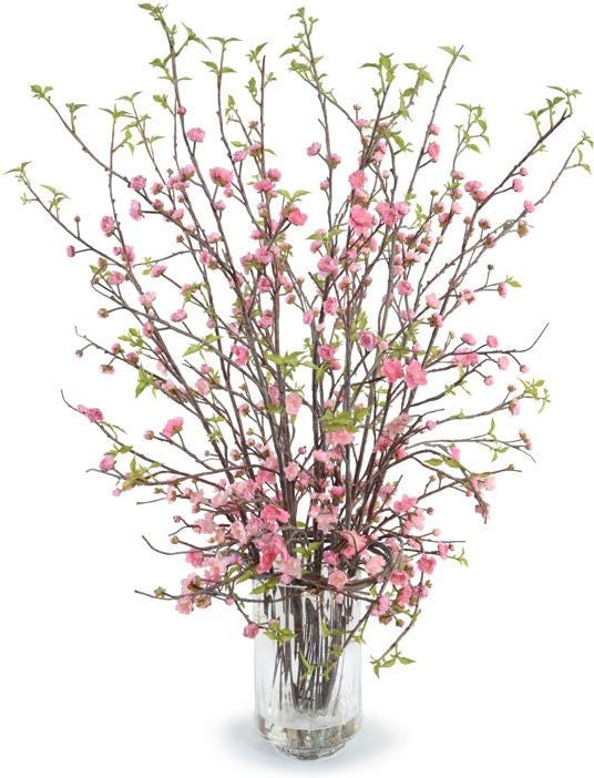 Cherry Blossom