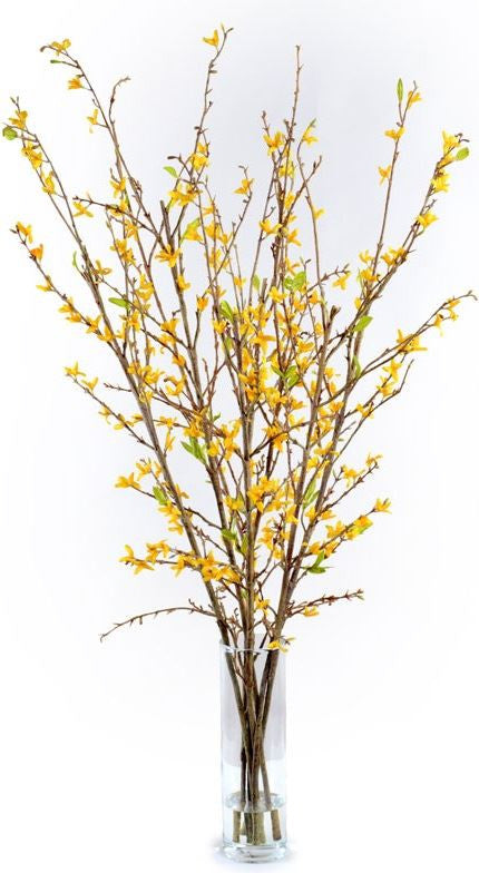 Forsythia Arrangement