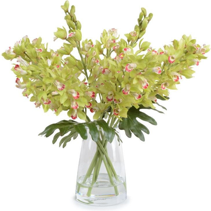 Cymbidium Orchid Bouquet
