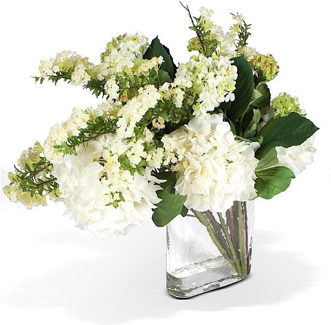 Hydrangea, Spirea