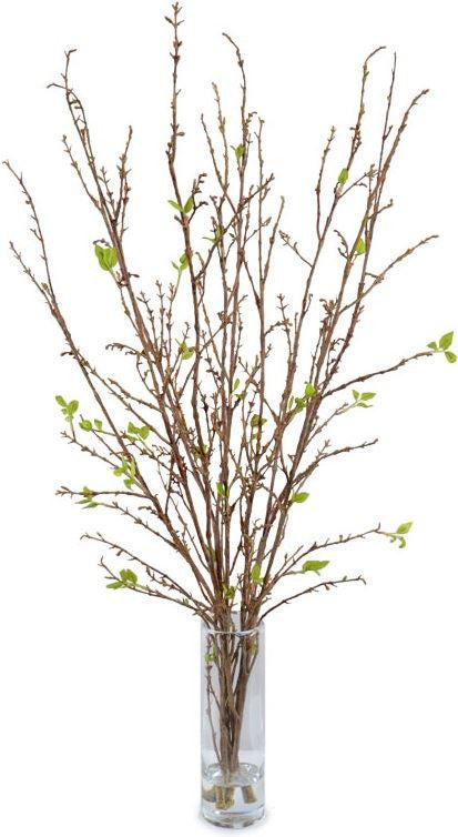Branches in Vase