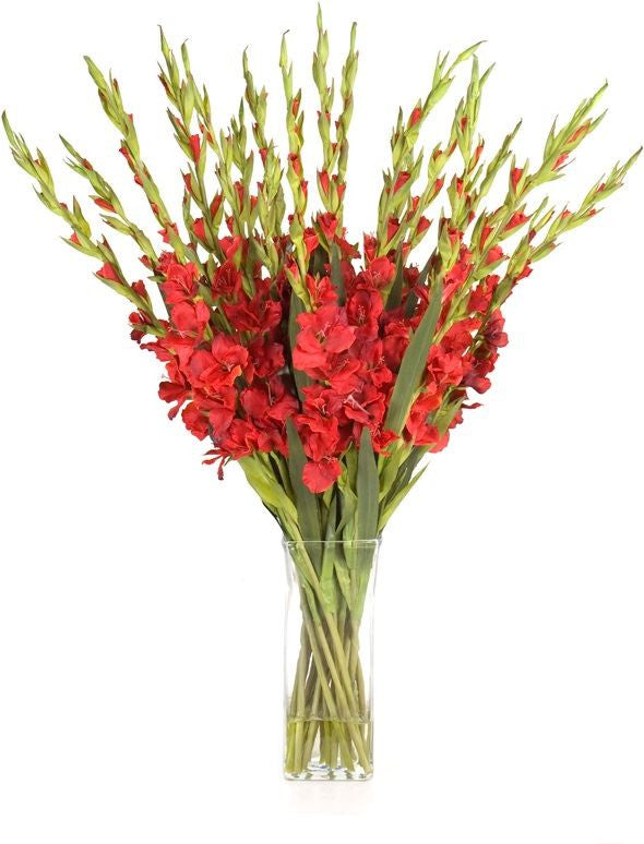 Gladiolus Vase
