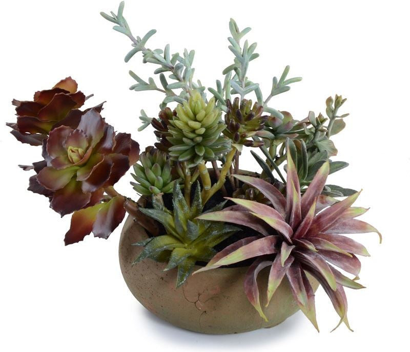 Succulent Garden