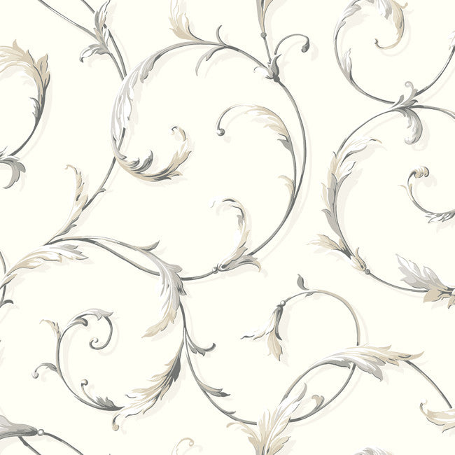 York AB1961 Black & White Acanthus Scroll Wallpaper