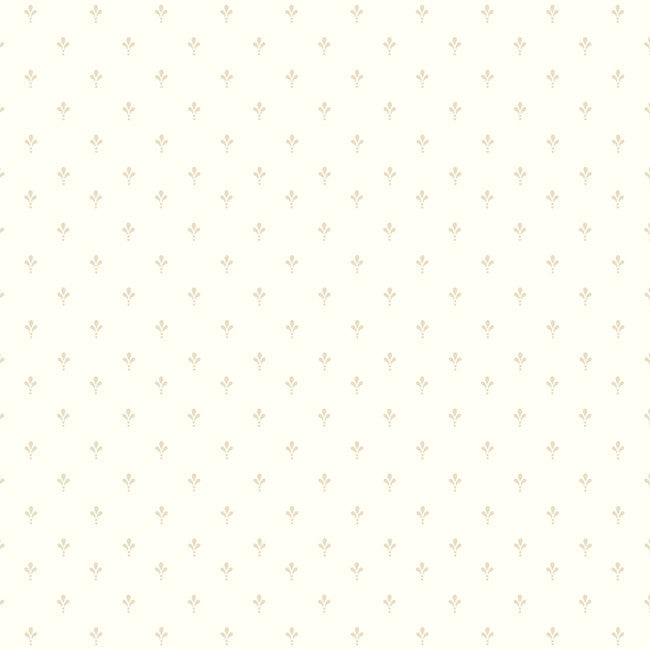York AB2082 Black & White Ditsy Wallpaper