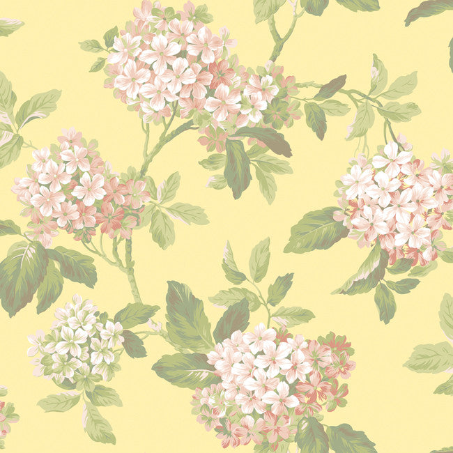 York AK7443 Ashford House Blooms Hydrangea Wallpaper