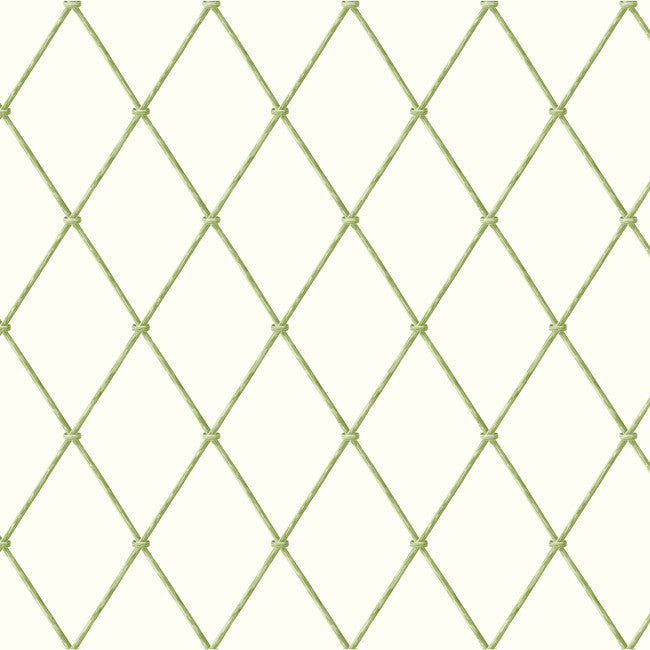 York AK7530 Ashford House Blooms Bamboo Harlequin Wallpaper
