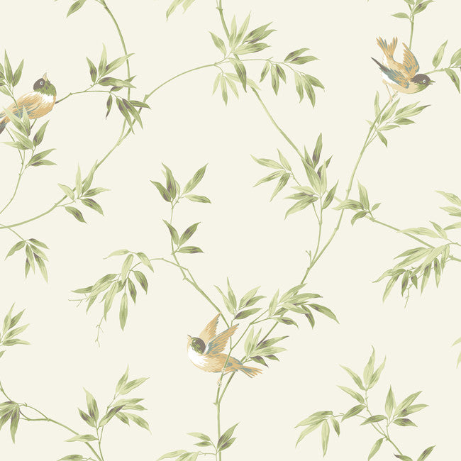 York AK7537 Ashford House Blooms Songbirds Wallpaper