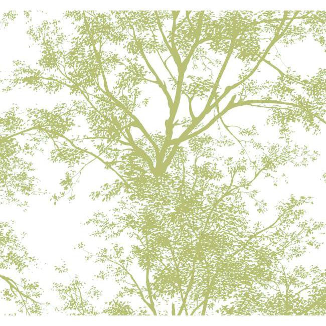 York AP7504 Green Book Tree Silhouette Wallpaper