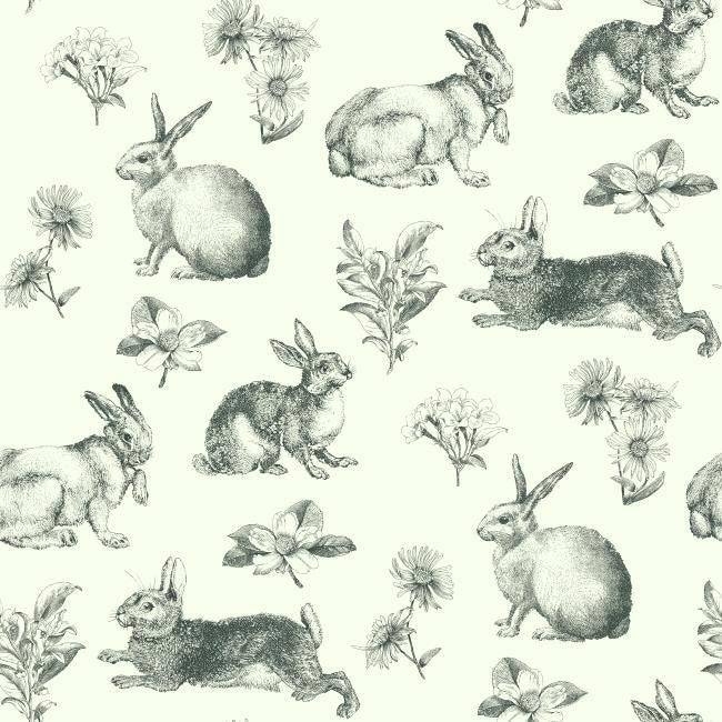 York AT4263 Ashford House Toiles Bunny Toile Wallpaper