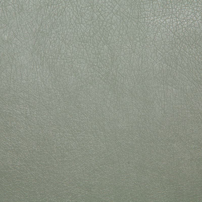 Pindler Fabric BAR076-BL01 Barstow Eucalyptus