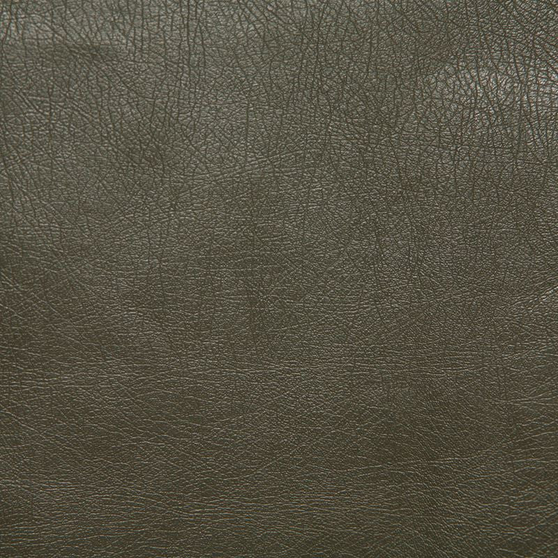 Pindler Fabric BAR076-GY01 Barstow Greentea