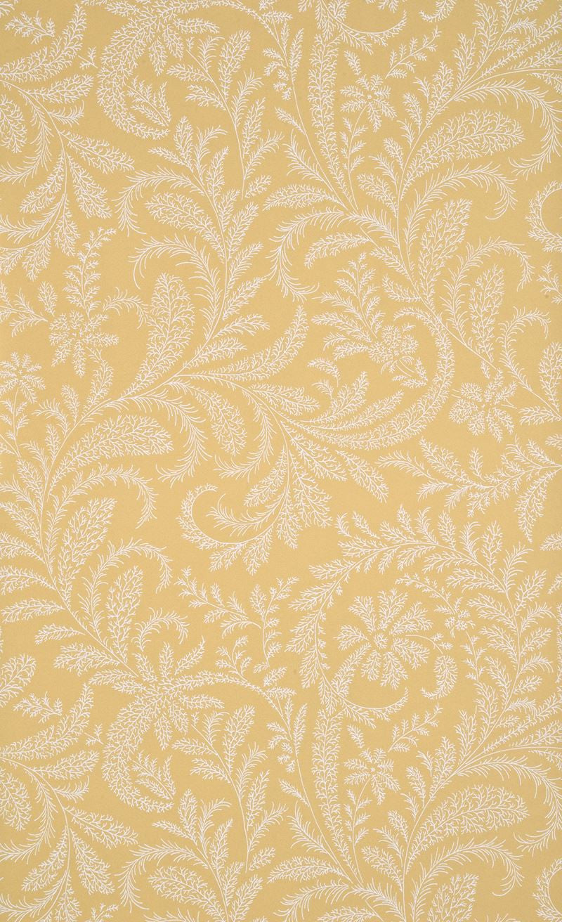 G P & J Baker Wallpaper BW45018.4 Willow Fern Mimosa