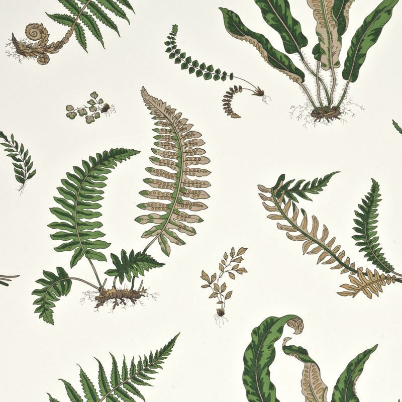 G P & J Baker Wallpaper BW45044.1 Ferns Original Green
