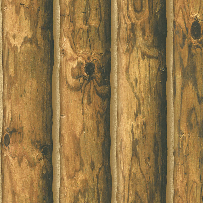 York CH7980 Border Portfolio II Mountain Logs Wallpaper