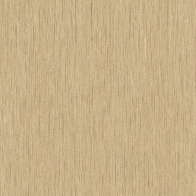 York COD0115N Candice Olson Embellished Surfaces Retreat Wallpaper