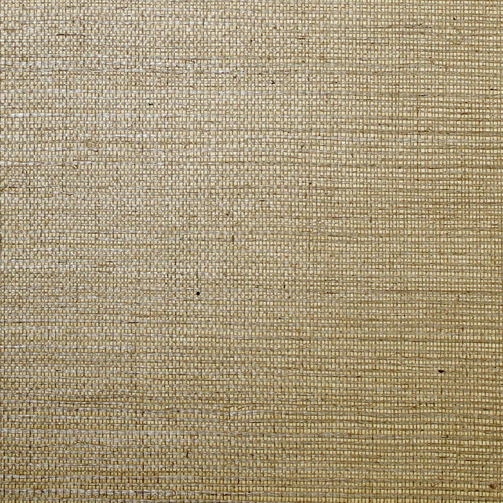 Scalamandre Wallpaper G1193-004 Sisal Acorn