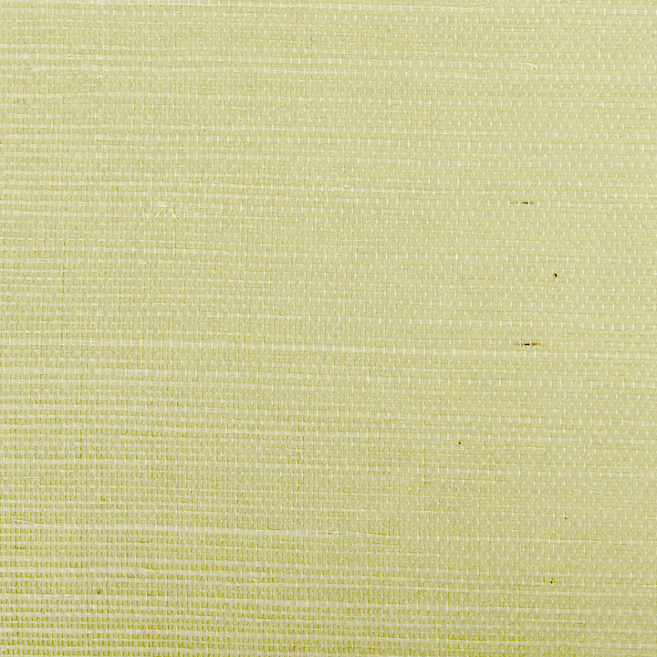 Scalamandre Wallpaper G1193-017 Sisal Spring