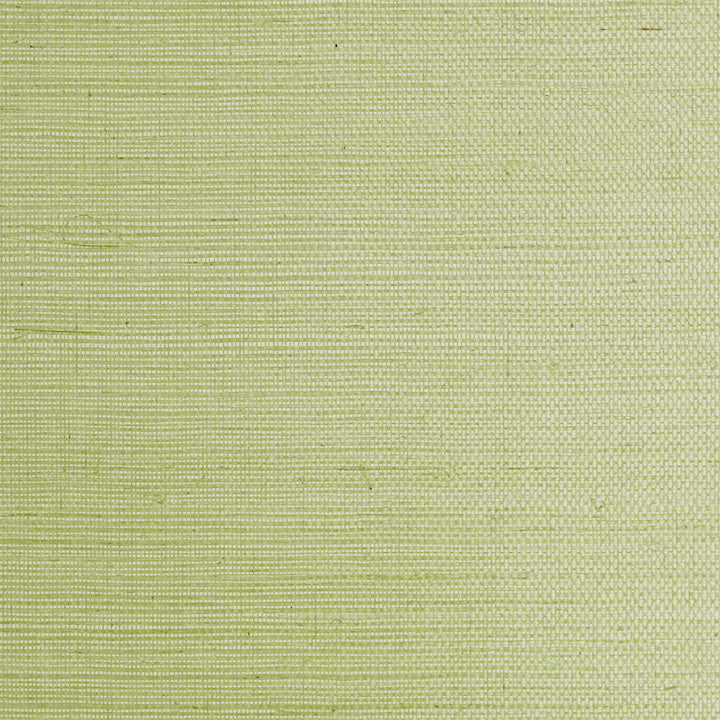 Scalamandre Wallpaper G1193-018 Sisal Leaf