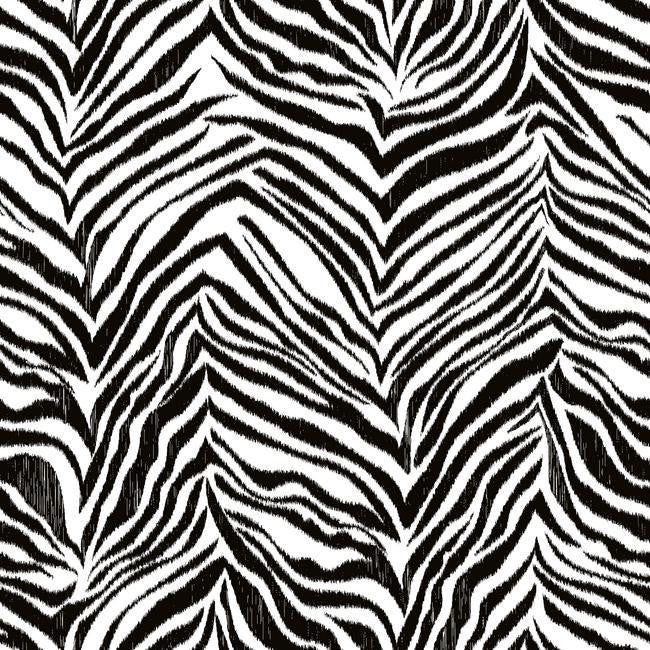 York KS2296 Cool Kids Ikat Zebra Wallpaper