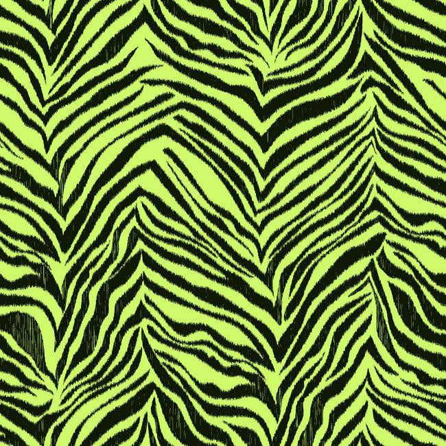 York KS2297 Cool Kids Ikat Zebra Wallpaper