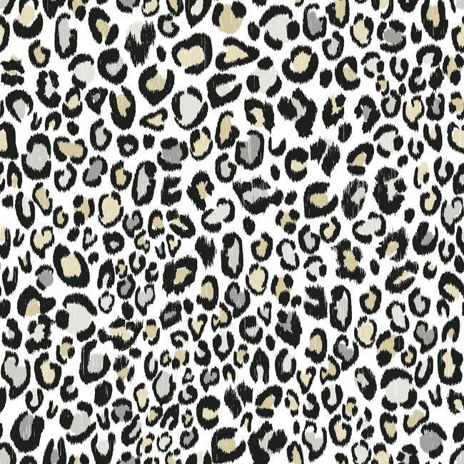 York KS2301 Cool Kids Multi Color Leopard Wallpaper