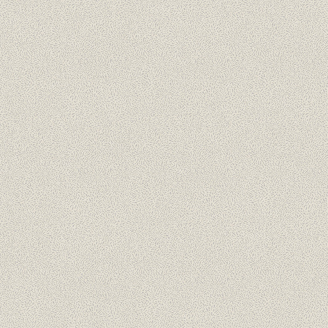York LD7653 Jewel Box Twinkle Wallpaper