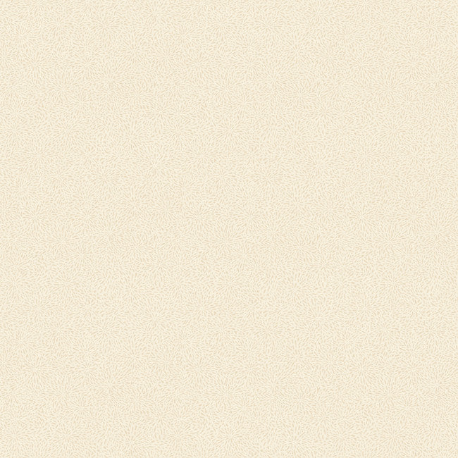 York LD7656 Jewel Box Twinkle Wallpaper