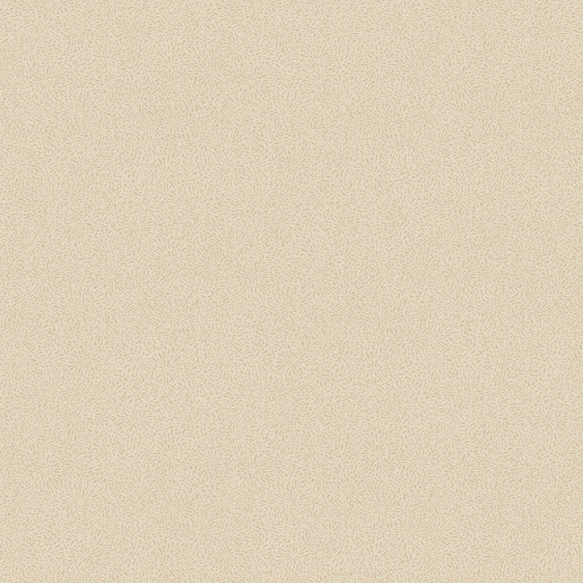 York LD7657 Jewel Box Twinkle Wallpaper