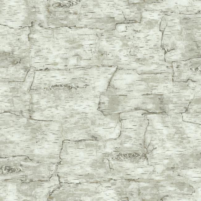 York LM7987 Country Book Birch Bark Wallpaper