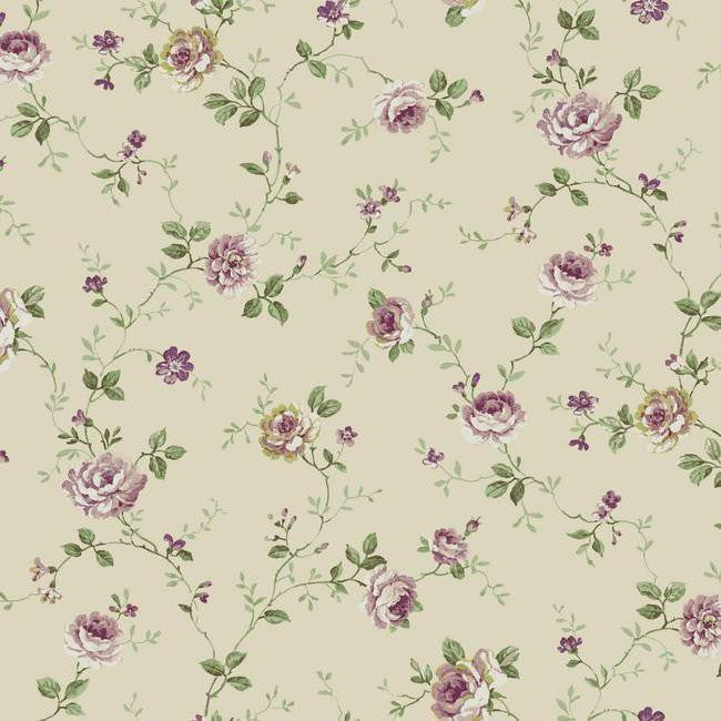York Wallpaper PN0408 Small Floral Trail