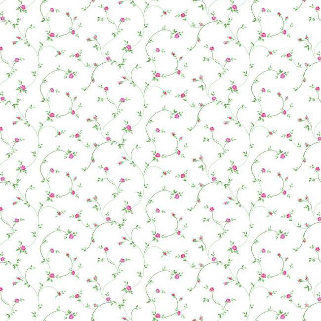 York Wallpaper PN0512 Rose Toss